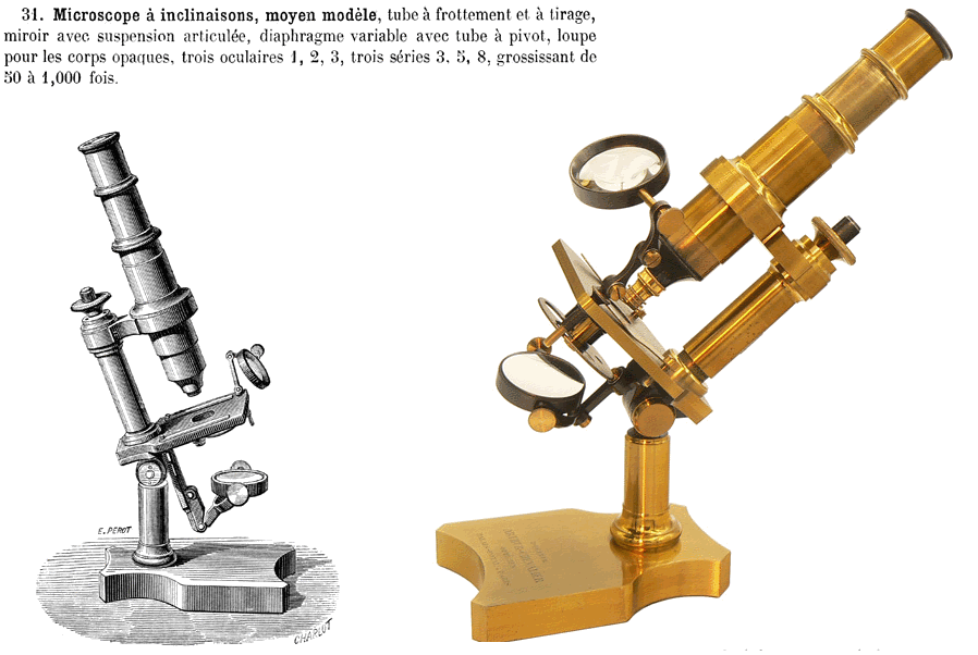 Étrier mobile d'étape de microscope, en alliage d'aluminium court temps  d'essai pratique de haute précision Microscope incassable étrier mobile  pour le déplacement de tranches : : Commerce, Industrie et Science